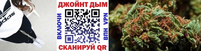 Конопля конопля Бабаево
